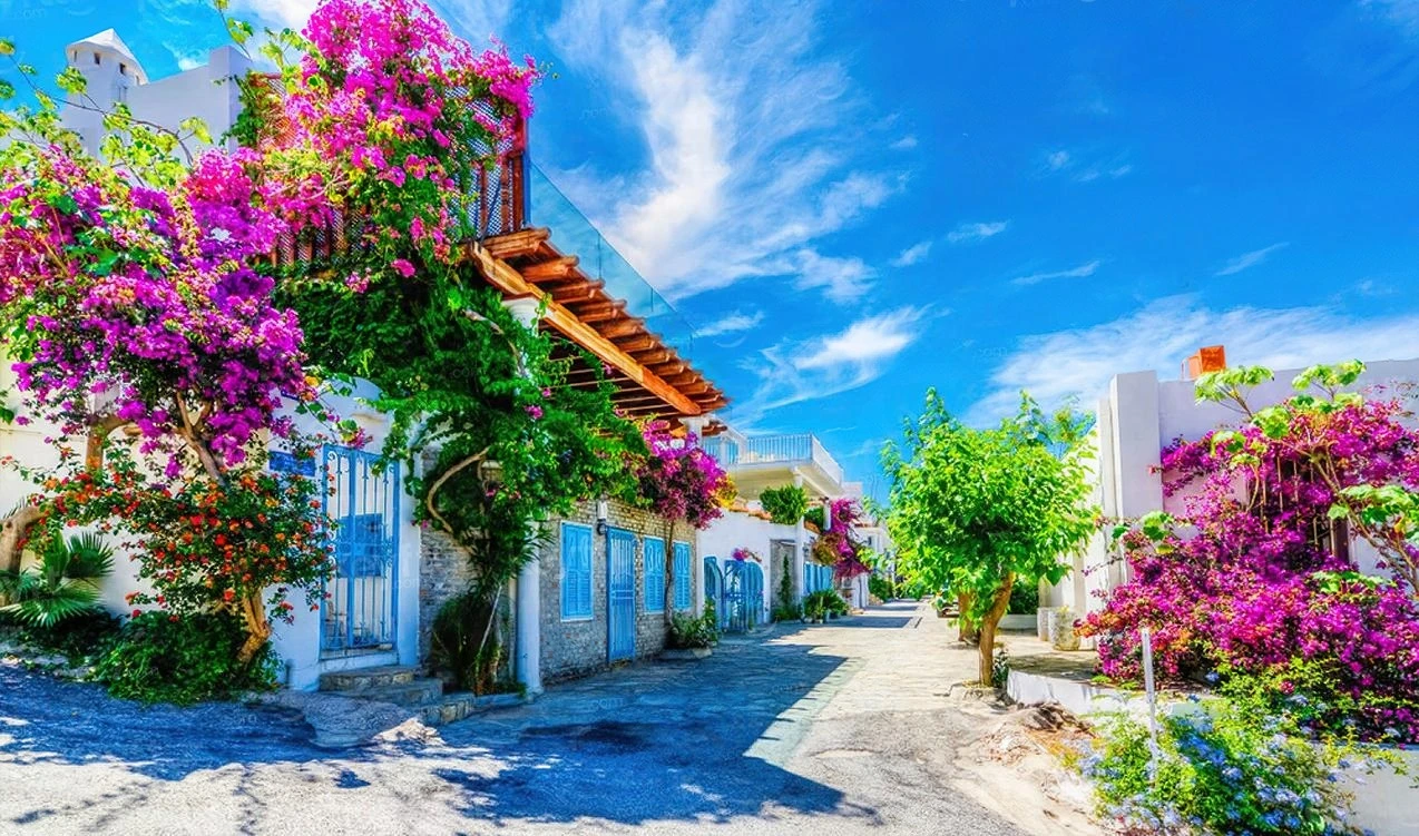 Kuzey&Güney Ege+Çanakkale