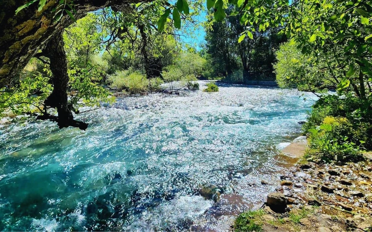 Elazığ-Tunceli-Munzur
