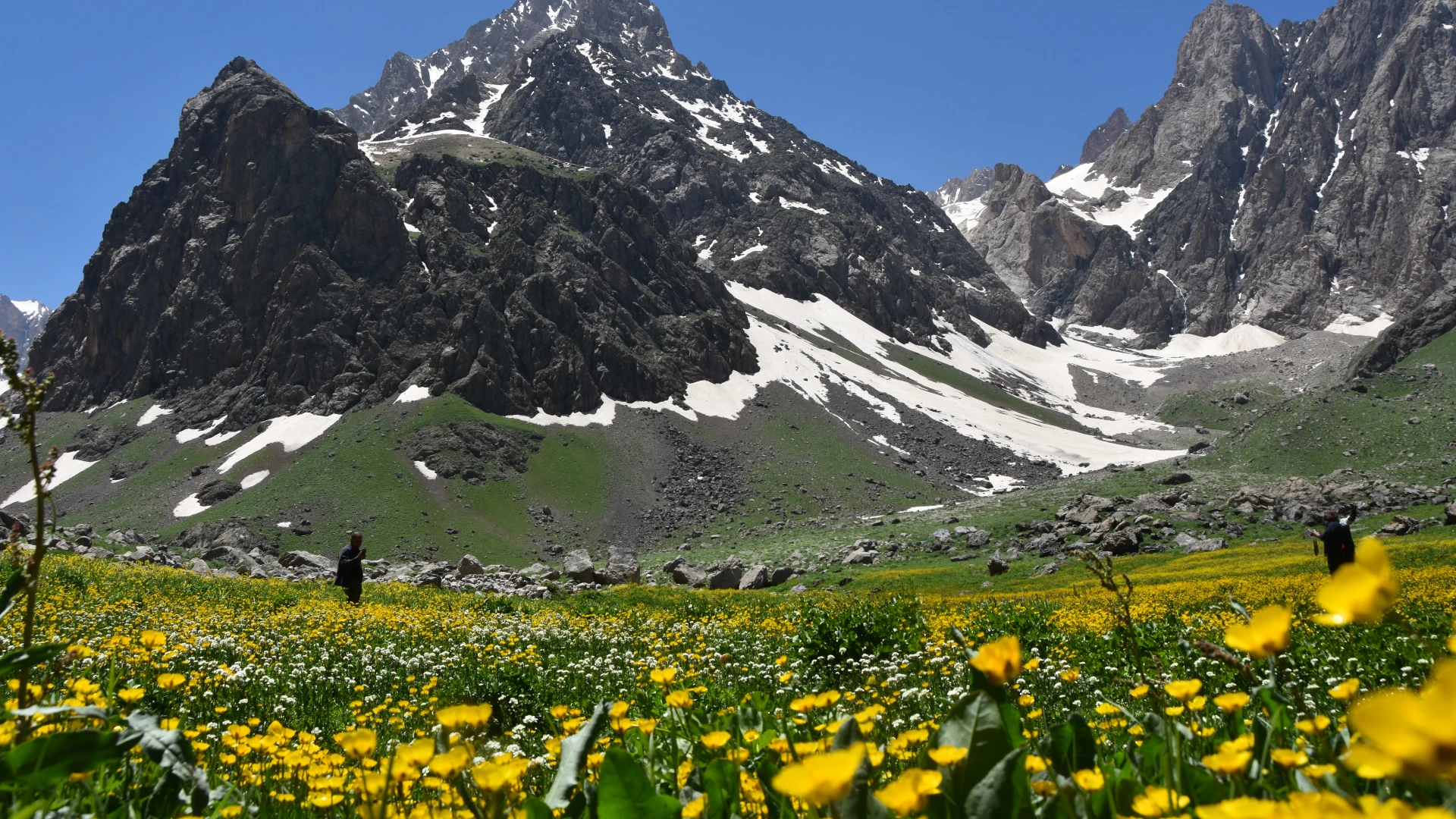 Hakkari-Şırnak-Siirt-Diyarbakır