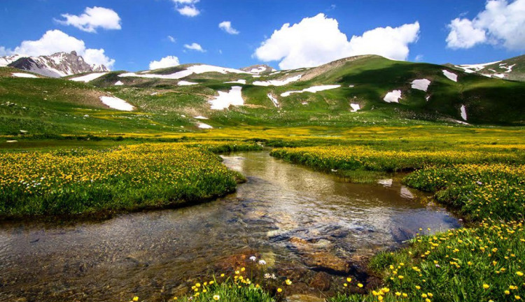 Hakkari-Şırnak-Siirt-Diyarbakır